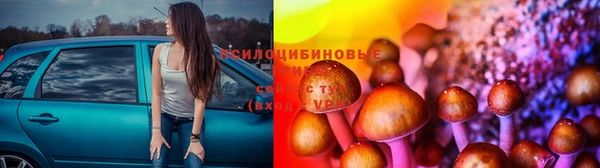 ГАЛЛЮЦИНОГЕННЫЕ ГРИБЫ Нягань